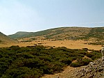 SUC30173.jpg