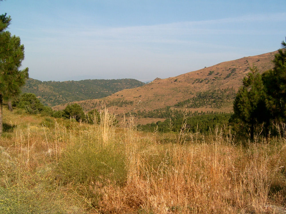 SUC30006.JPG