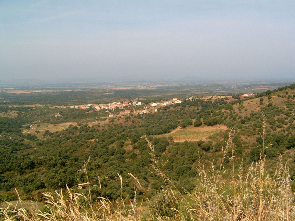 SUC30009.JPG
