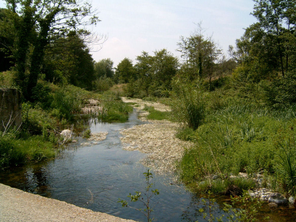 SUC30016.JPG