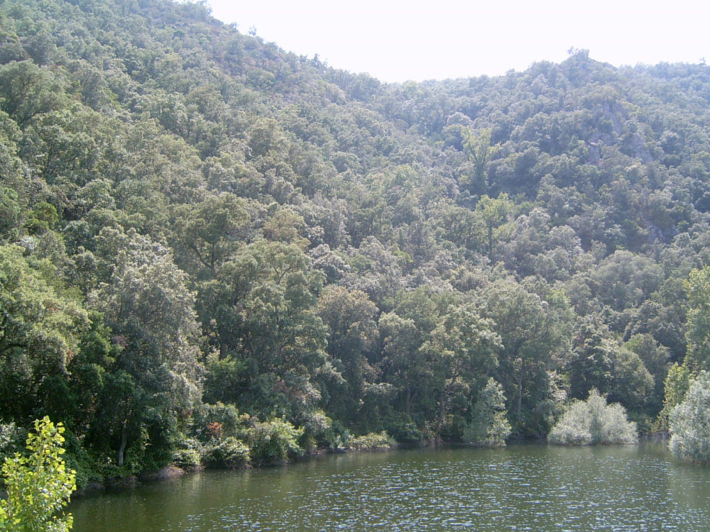SUC30026.JPG
