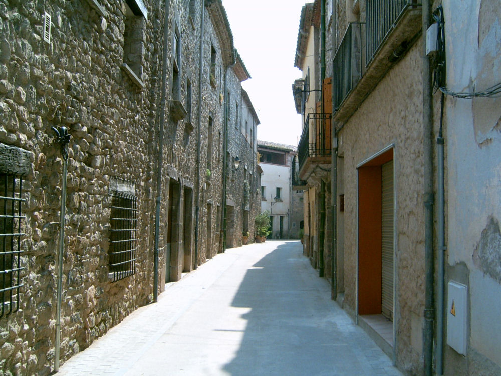 SUC30028.JPG