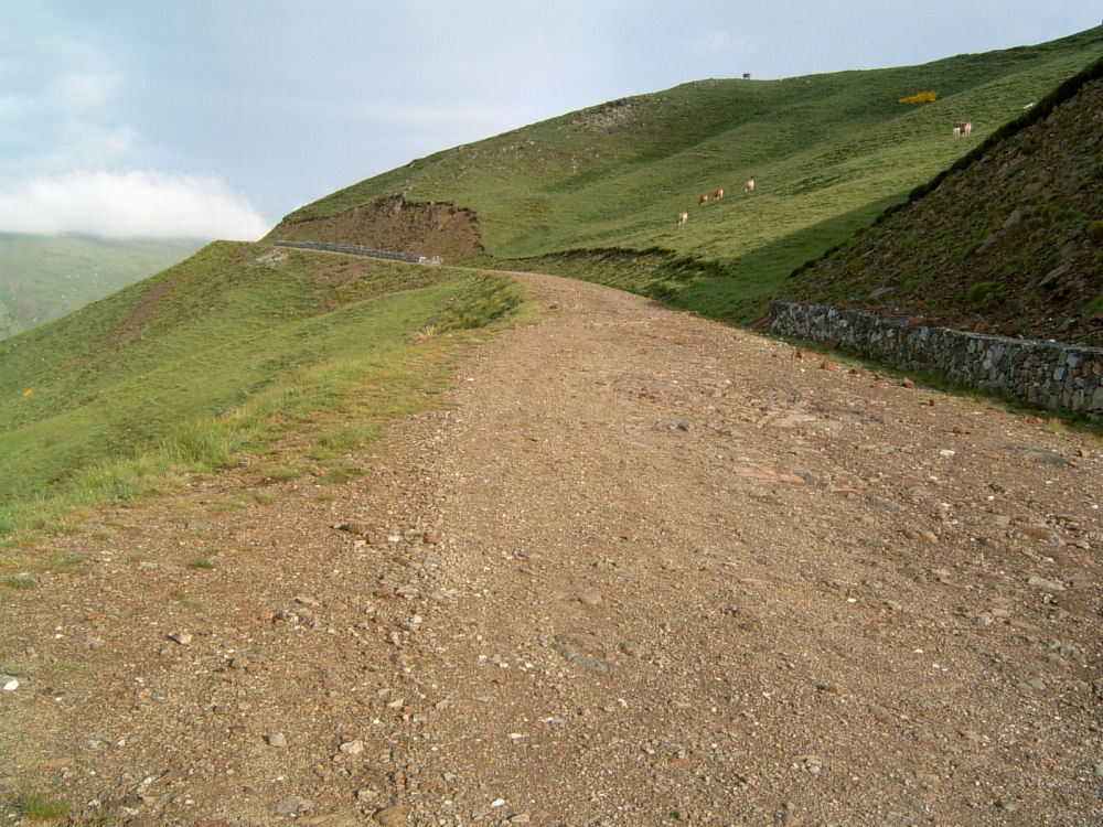 SUC30081.JPG