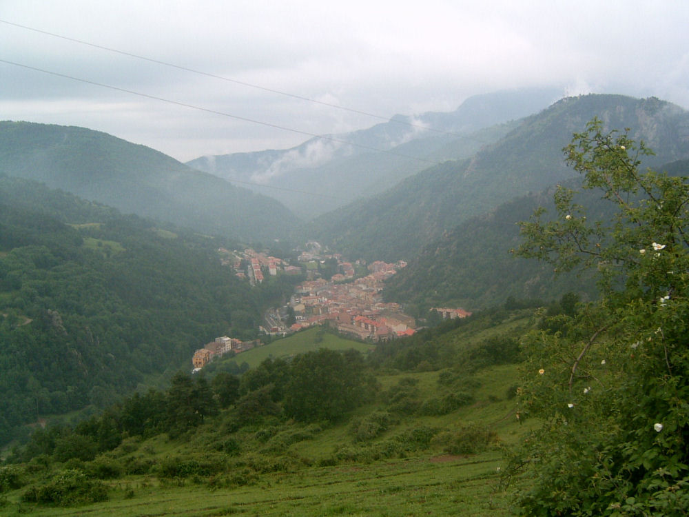 SUC30084.JPG