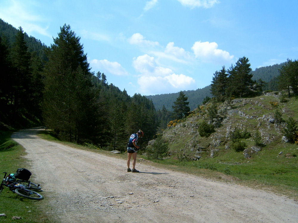 SUC30094.JPG