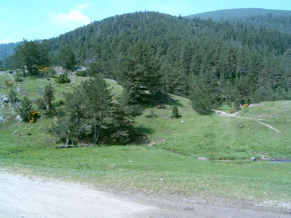 SUC30095.JPG