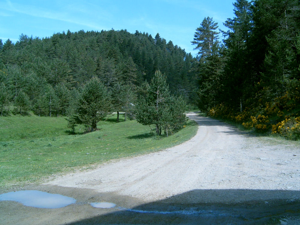 SUC30096.JPG