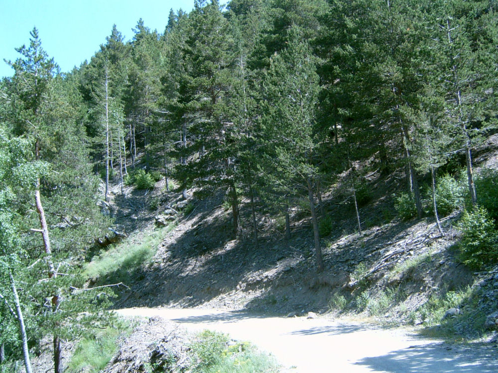 SUC30102.JPG
