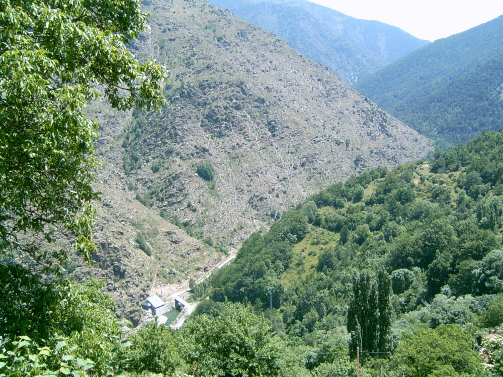 SUC30106.JPG
