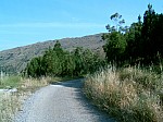SUC30005.JPG