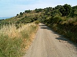 SUC30010.JPG
