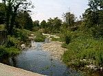 SUC30016.JPG