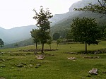 SUC30053.JPG
