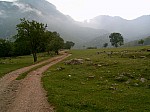 SUC30055.JPG