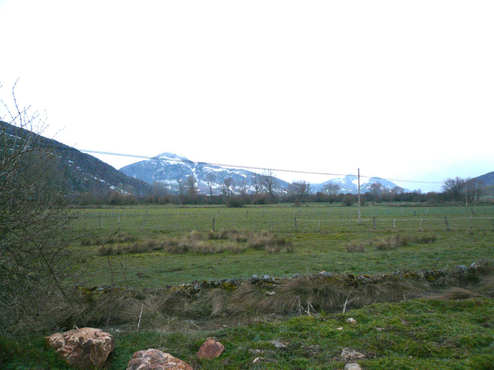 P1000577.JPG
