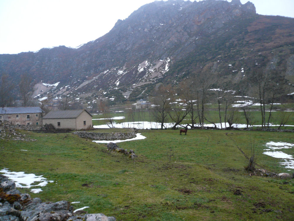 P1000579.JPG
