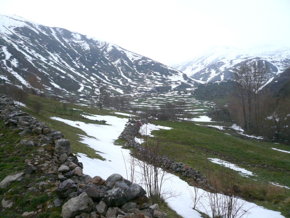 P1000583.JPG