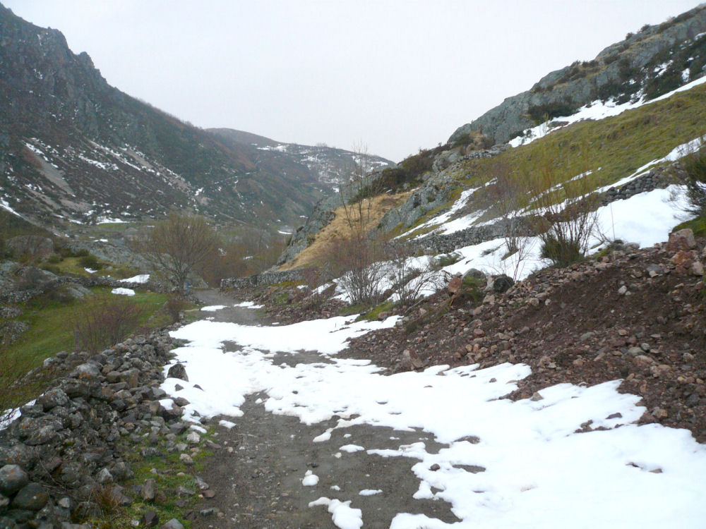 P1000584.JPG