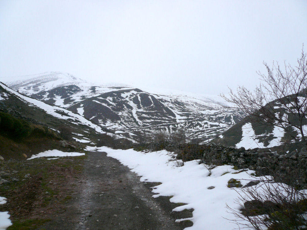 P1000587.JPG