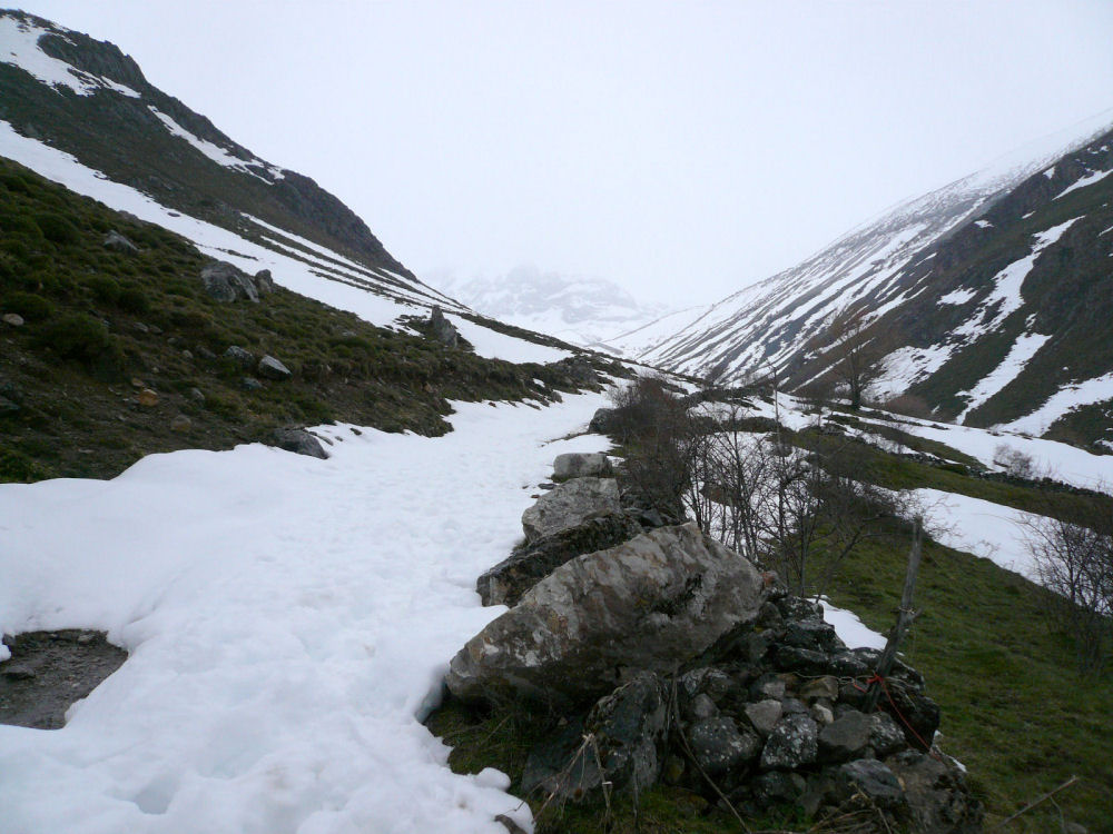 P1000592.JPG