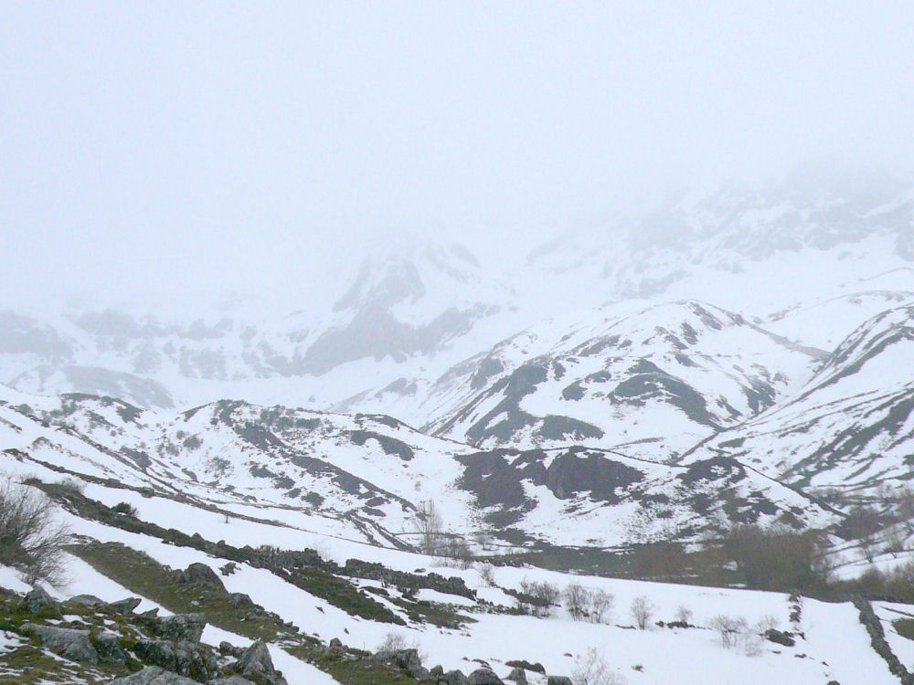 P1000594.JPG