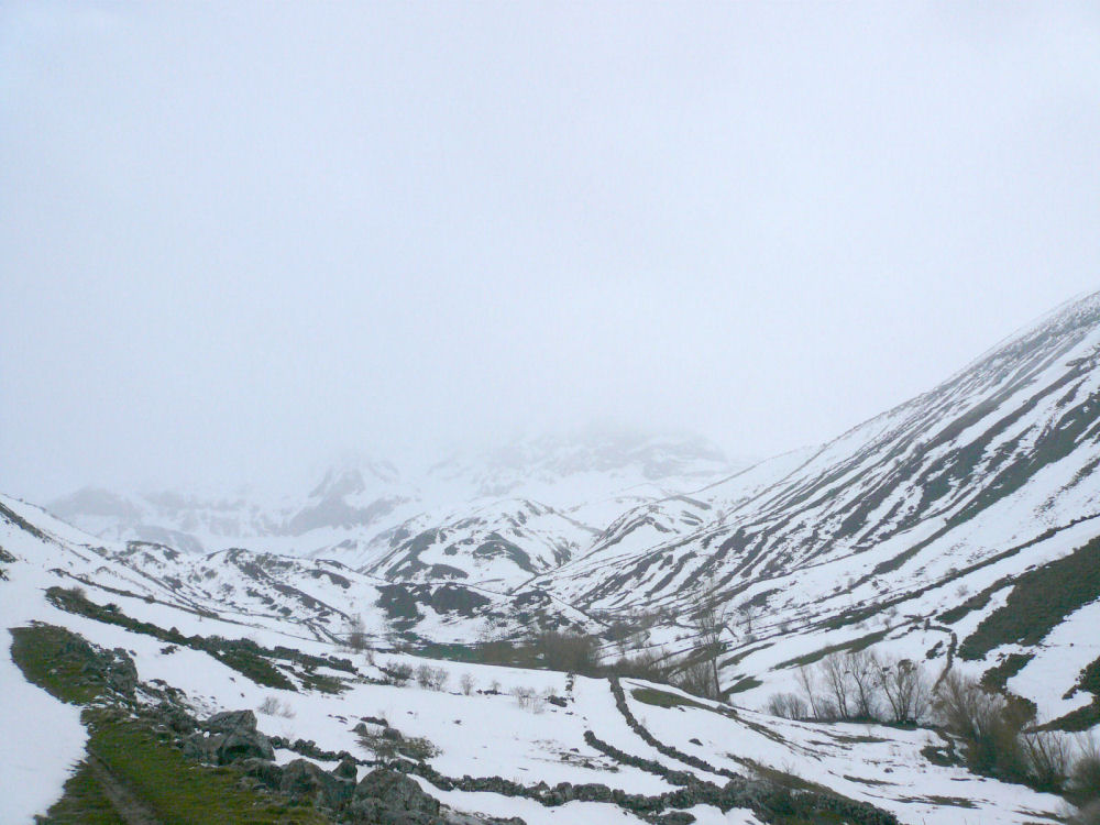 P1000596.JPG