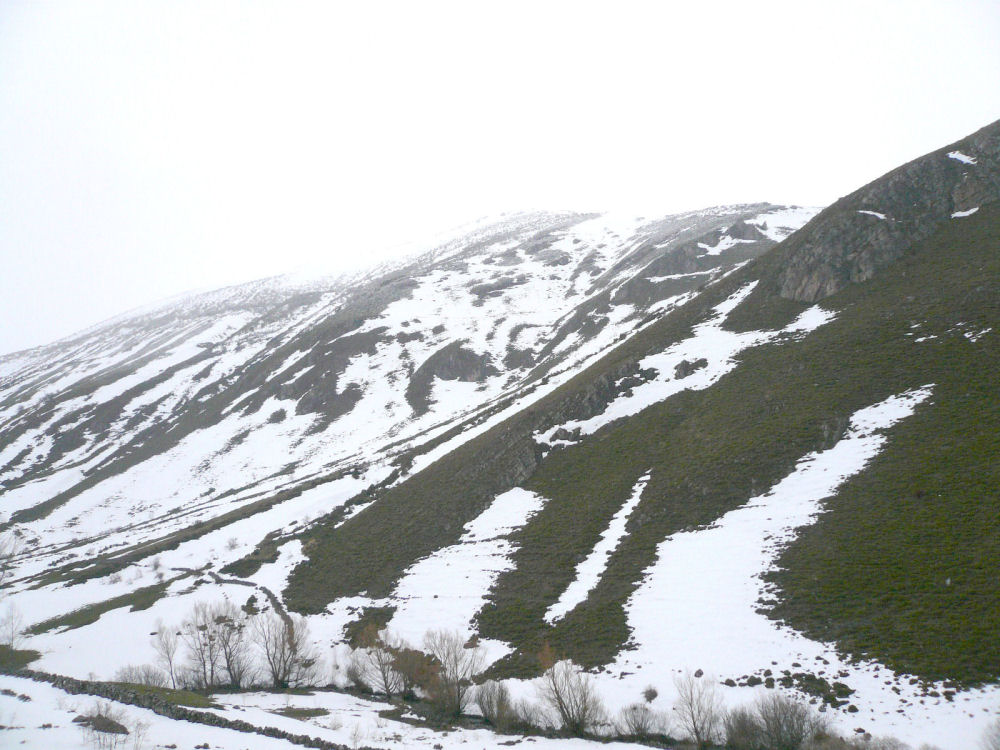 P1000600.JPG
