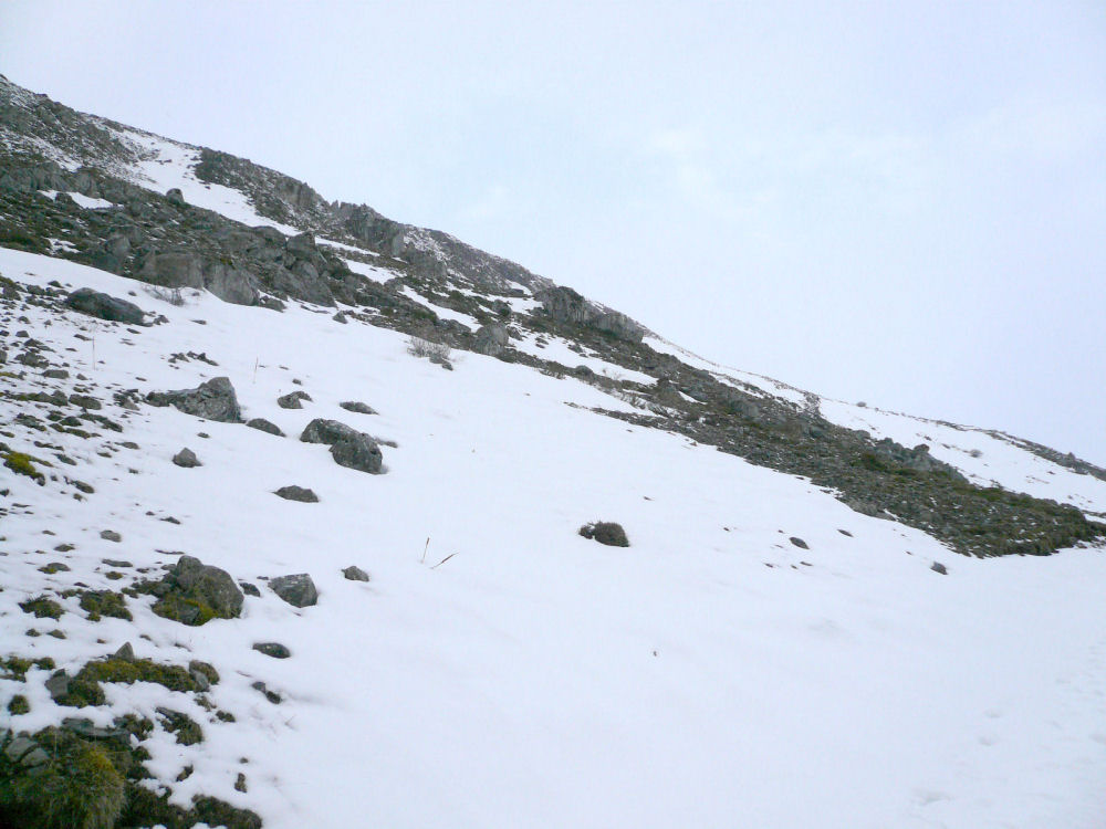 P1000601.JPG