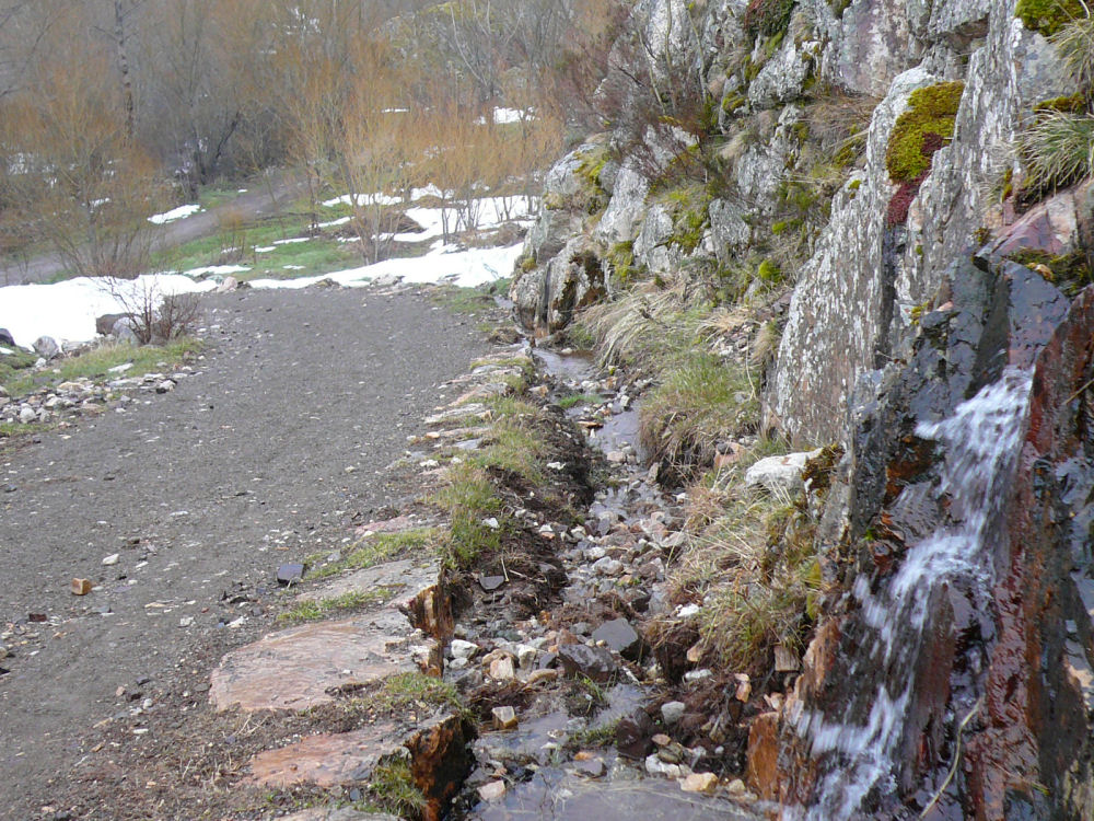 P1000614.JPG