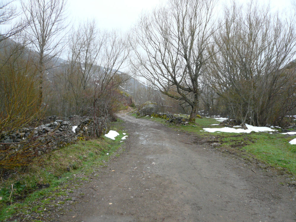 P1000615.JPG