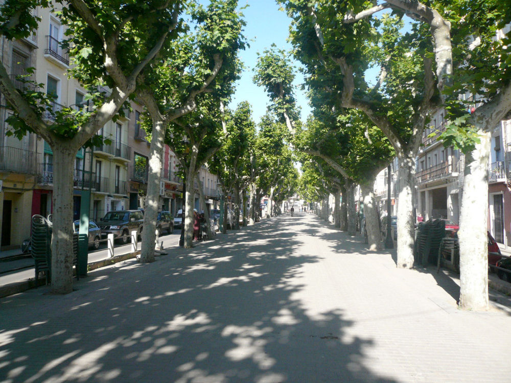 P1000760.JPG