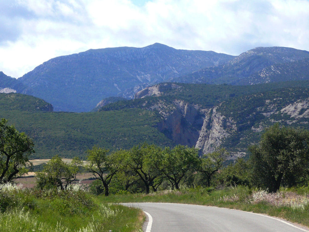 P1000776.JPG
