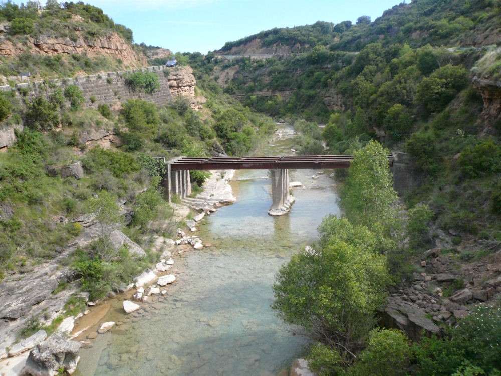 P1000791.JPG