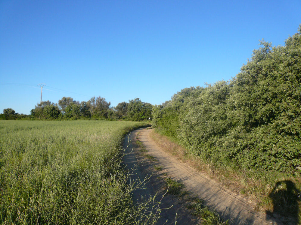 P1000796.JPG