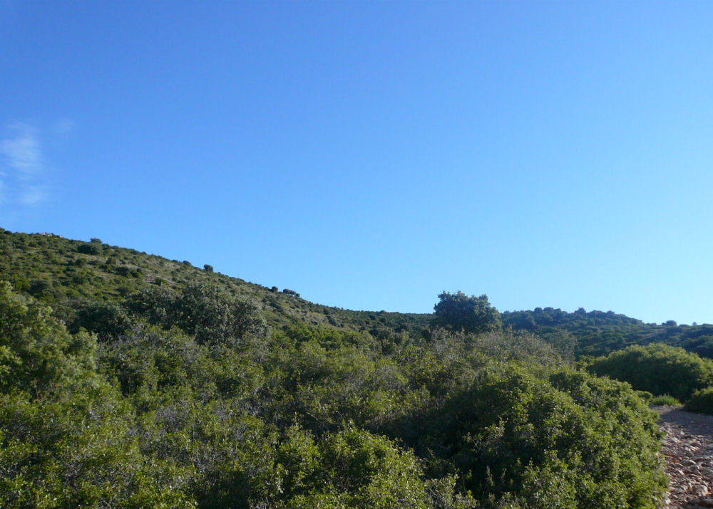 P1000808.JPG