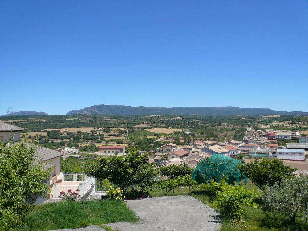 P1000828.JPG